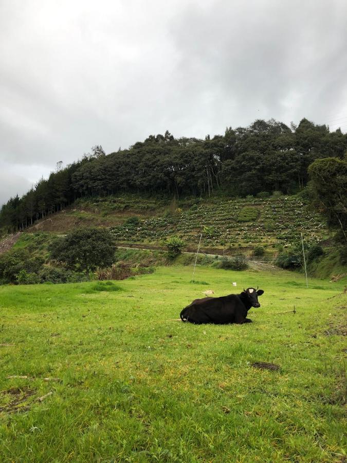 Premium Holiday Cabin - Spectacular Tungurahua Volcano View Baños Extérieur photo