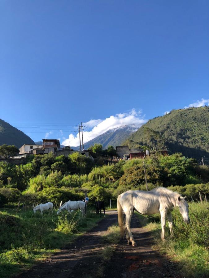 Premium Holiday Cabin - Spectacular Tungurahua Volcano View Baños Extérieur photo